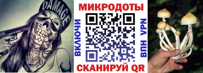 Псилоцибиновые грибы GOLDEN TEACHER  Нолинск 